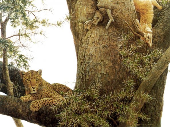 Drawing & Painting Animals Wallpapers 04
