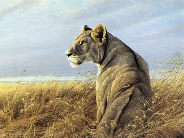 Drawing & Painting Animals Wallpapers 05