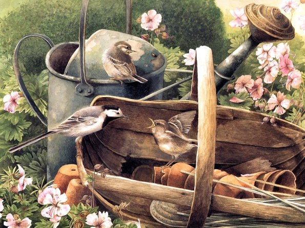 Drawing & Painting Animals Wallpapers 25