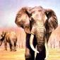Drawing & Painting Animals Wallpapers 28