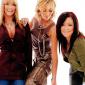 atomic-kitten-59