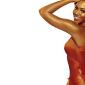 beyonce-knowles-61