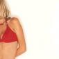 donna air