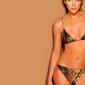 Elizabeth-Hurley-54