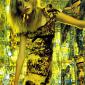 Gemma-Ward-16