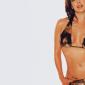 Laura-Harring-2