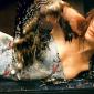 Shalom-Harlow-10