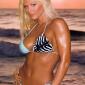 Torrie-Wilson-4