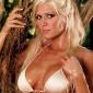 Torrie-Wilson-8