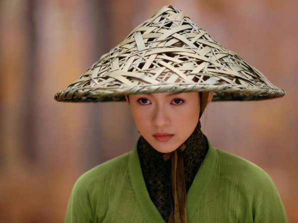 Zhang-Ziyi-25