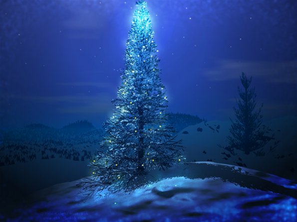 Christmas (14)