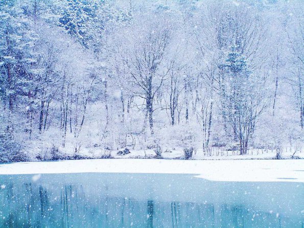Christmas (146)