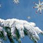 Christmas (83)