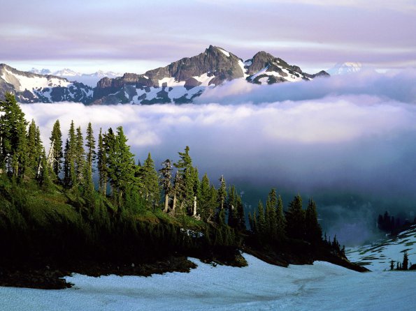 Cloud Cover, Mount Rainer National Park, Washington