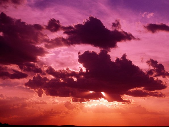 Splendid Light
