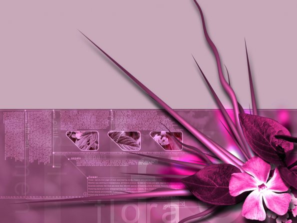 Flowers - 09
