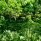 Blue Spring State Park, Florida