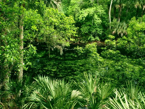 Blue Spring State Park, Florida