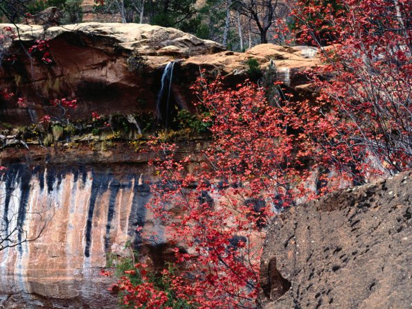 Calico, Emerald Pools