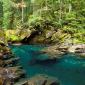 Ohanapecosh River, Mt. Rainier National Park, Washington