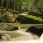 Roaring Fork River, Great Smoky Mountains National Park, Tennessee