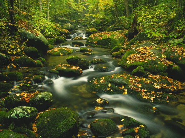 Roaring Fork, Timed Exposure, Great Smoky Mountains, Tennessee