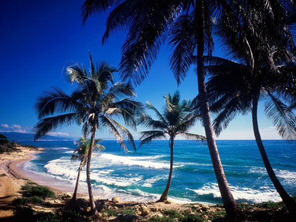 Coast of Paraiso, Dominican Republic