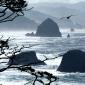 Ecola Point, Oregon Coast