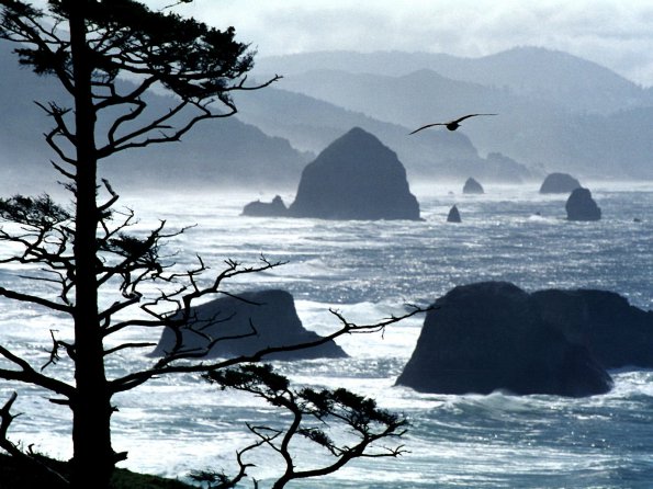 Ecola Point, Oregon Coast