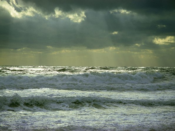 Island Beach, New Jersey