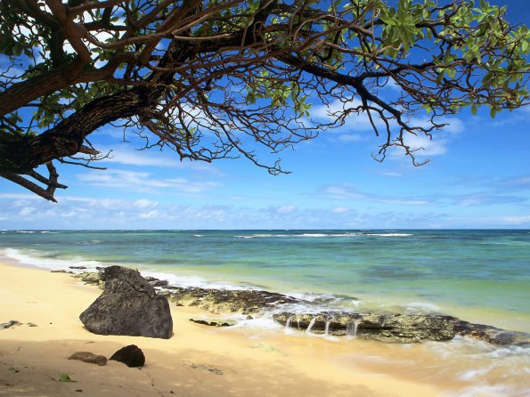 Kanenelu Beach, Oahu, Hawaii