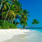 Lost in Paradise