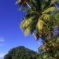 Paria Beach, Trinidad