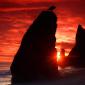 Sea Stacks Knife a Blood-Red Sky, Olympic National Park, Oregon
