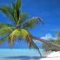 Sun and Sand