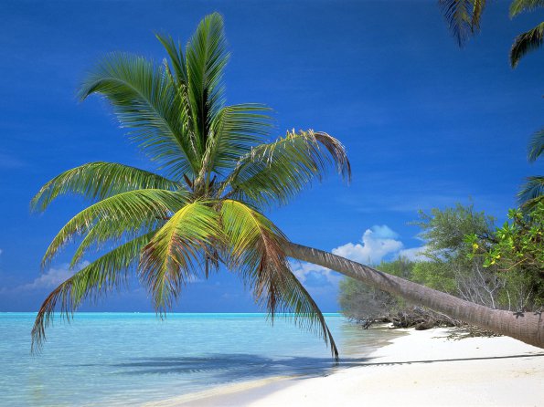 Sun and Sand