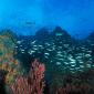 Los Roques Reef, Venezuela