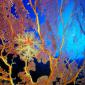 Sea Fan Colony