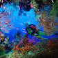 Soft Coral Embellished Cave, Fiji