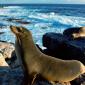 Sunbathing