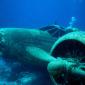 Sunken Plane, Aruba