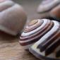 sea_shell_15