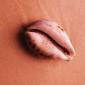 sea_shell_26