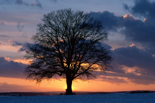 Sunset - 02