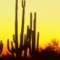 Sunset - 20