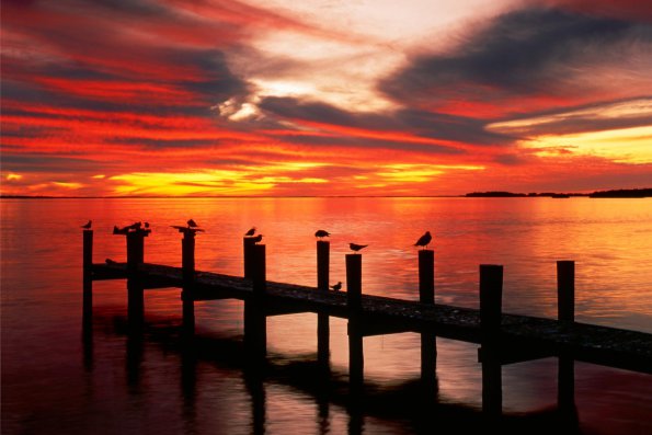 Sunset - 22