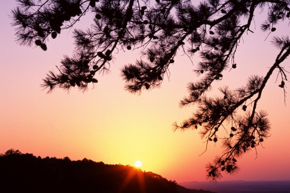 Sunset - 25