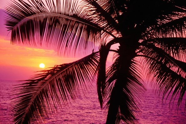 Sunset - 27