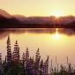 Sunset - 29