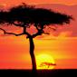 Sunset - 37